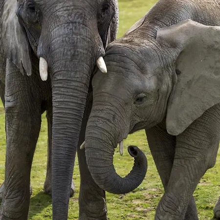 Dom wakacyjny Maison Familiale A , 2 , Jardin Et Parking